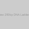 Azura PureView 250bp DNA Ladder - 100 Lanes